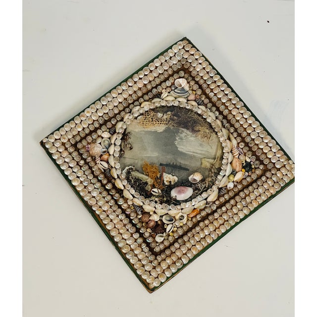 Antique sea shells Sailors Valentines with old sea ship portrait in a convex glass.