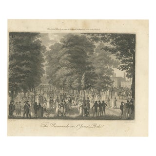 The Promenade in St Jamess Park, 1804, Paper For Sale