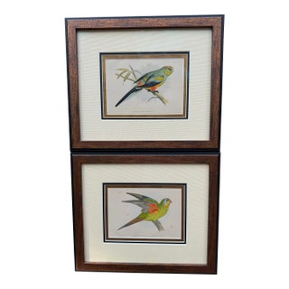 Antique Color Woodblock Prints From w.t. Greene’s “Parrots in Captivity” with Frame Matte and Validation From the Trowbridge Gallery - Set of 2 For Sale