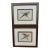 Antique Color Woodblock Prints From w.t. Greene’s “Parrots in Captivity” with Frame Matte and Validation From the Trowbridge Gallery - Set of 2 For Sale