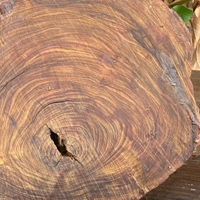 Brutalist Brutalist Olive Wood Vide Poche by Charlotte Perriand, France, 1950s For Sale - Image 3 of 13