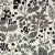 Sample - Schumacher Emaline Embroidery Fabric in Black For Sale