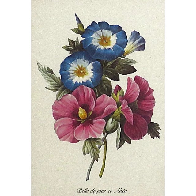FREE SHIPPING ANYWHERE IN THE CONTINENTAL US! This is a set of gorgeous vintage French floral lithographs. P. J. Redoute....