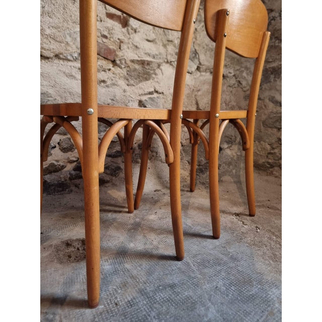 Vintage French Bentwood Bistro Chairs from Luterma, 1950s-1970s, Set of 6 For Sale - Image 9 of 18