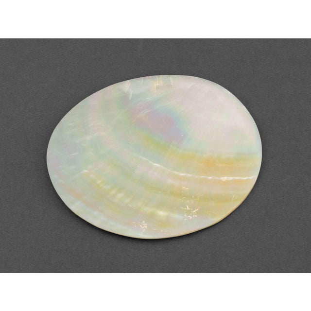 Shell Late 20th Century Mother-of-Pearl Assembled Caviar Service - 9 pcs For Sale - Image 7 of 15