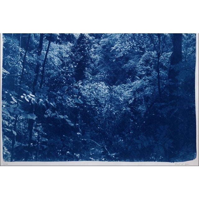 Art Deco "Soft Light in the Woods" Contemporary Landscape Handmade Cyanotype Print on Watercolor Paper For Sale - Image 3 of 8