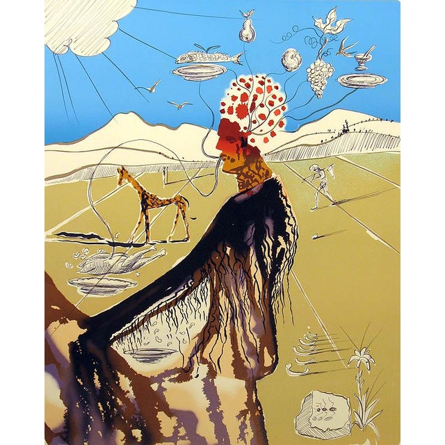 Salvador Dalí 【神曲】 lithograph 証明書 SALVADOR DALI The Persistence of Memory 24