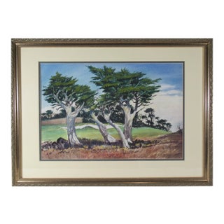 Frank Serratoni, Cypress For Sale