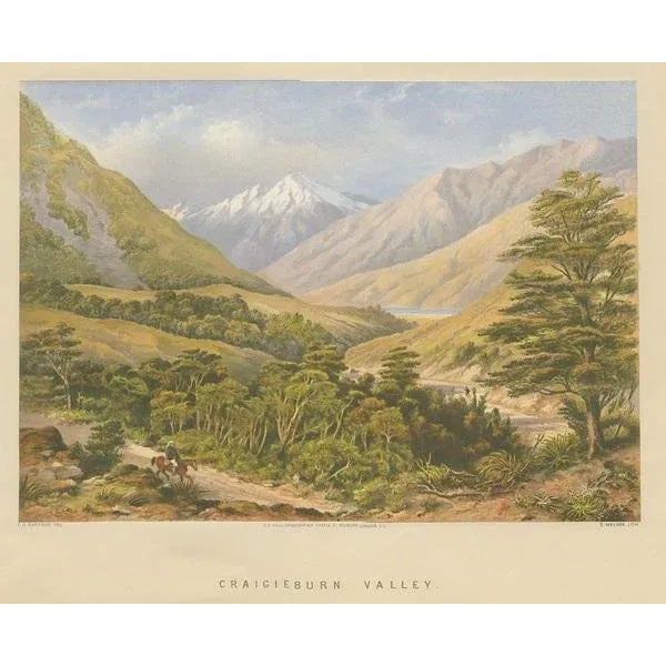 Antique print titled 'Craigieburn Valley'. View of Craigieburn Valley, New Zealand. Lithographed by E. Walker after a...