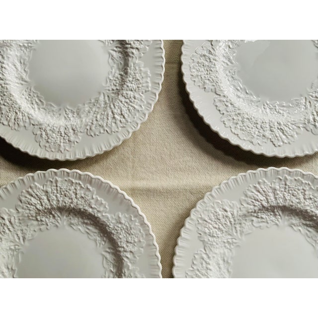 1930s Spode Savoy Cabbage Leaf Embossed White Dinner Plates — English Bone China, Set of 4 For Sale - Image 16 of 18