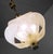 German Frosted Murano Glass Petals & Brass Pendant Lamp from Kaiser Idell / Kaiser Leuchten, 1960s For Sale - Image 6 of 10