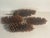 1960s Rustic Chalet Decor - Huge Pine Cones in Twig Basket For Sale In Miami - Image 6 of 8