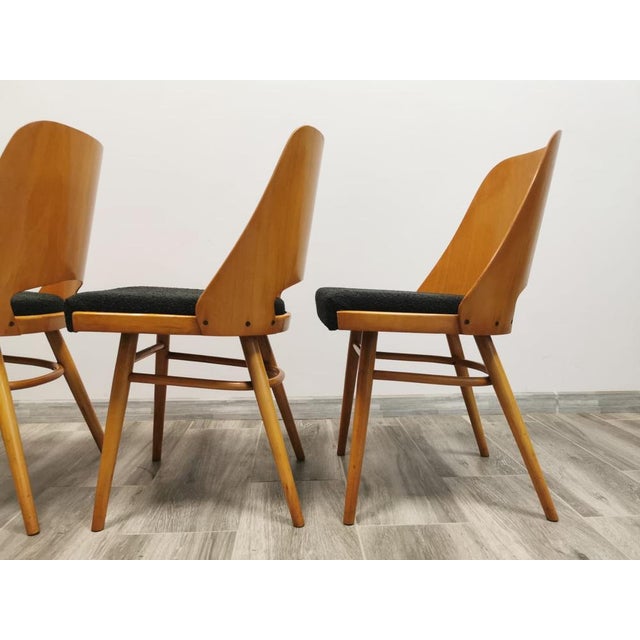 Dining Chairs by Radomir Hoffman for Ton, 1950s, Set of 4, in Restored conditions. Designed 1960 to 1969