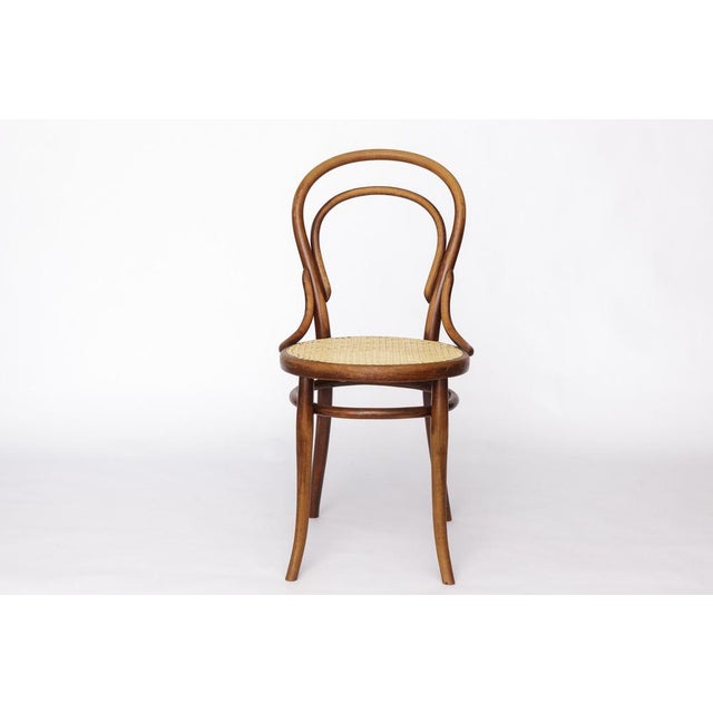 Antique No. 14 Chair Viennese Coffee House Bentwood Chair with Cane Seat by Michael Thonet for Thonet, 1920s For Sale - Image 10 of 10