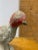 Paint Early 20th Century Antique Handmade Concrete Bird Figure For Sale - Image 7 of 7