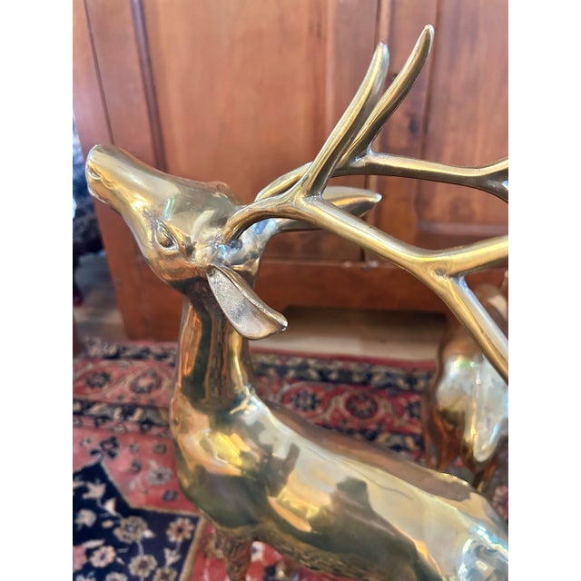 Mid 20th Century Large Polished Brass Deer Statues - A Pair For Sale - Image 9 of 11