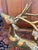 Mid 20th Century Large Polished Brass Deer Statues - A Pair For Sale - Image 9 of 11