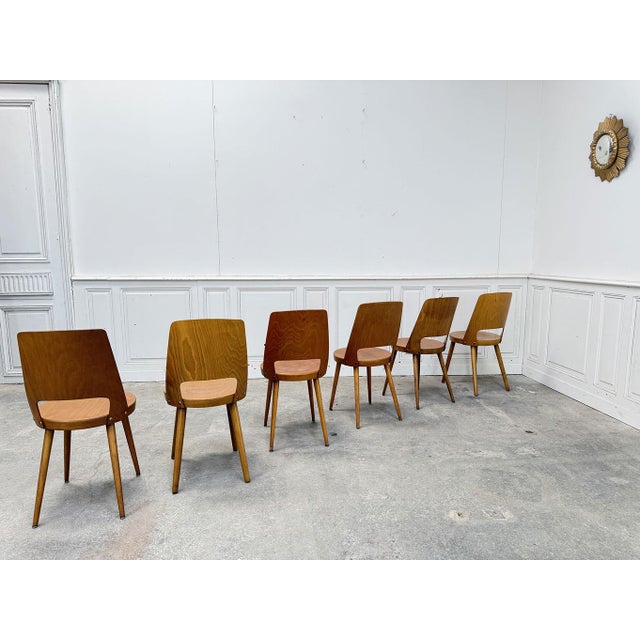 Wood Beechwood Bistro Chairs from Baumann, 1950s, Set of 6 For Sale - Image 7 of 8