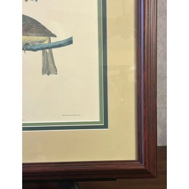 Vintage Audubon Society Cardinal & Grosbeak Framed Print - 24x29 Bird Art For Sale In Baltimore - Image 6 of 12