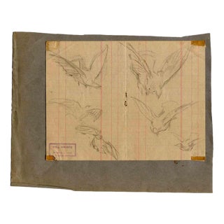 Luigi Galli, Birds, Original Drawing, Late 19th-Century For Sale