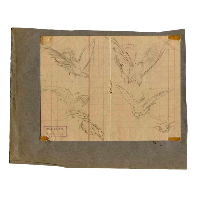 Luigi Galli, Birds, Original Drawing, Late 19th-Century For Sale