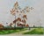 A beautiful aquatint etching of a serene pastoral scene in the Picardy region of northern France by Paul Emile Lecomte...