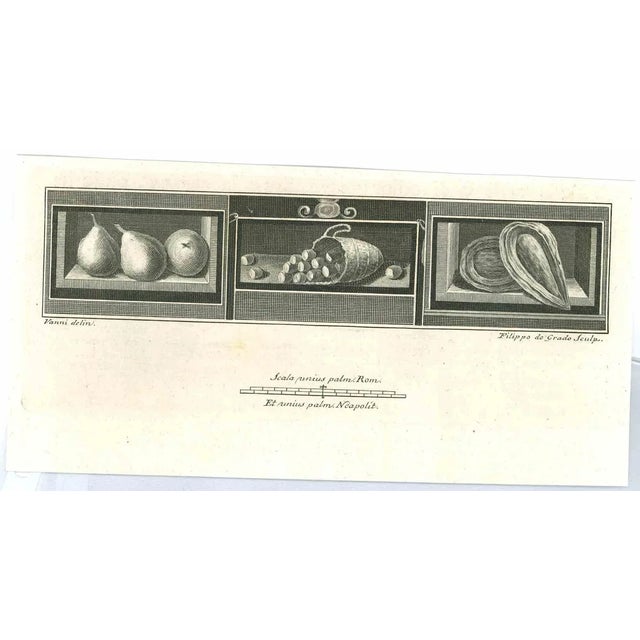 Niccolò Vanni, Ancient Roman Statues, Original Etching, 18th Century For Sale