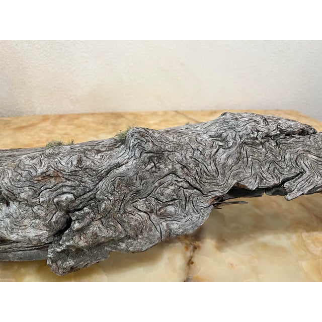Contemporary 1854 Big Burn Ghost Forest Large 4-Foot Ribbon Grain Architectural Sculpture For Sale - Image 3 of 9