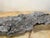 Contemporary 1854 Big Burn Ghost Forest Large 4-Foot Ribbon Grain Architectural Sculpture For Sale - Image 3 of 9