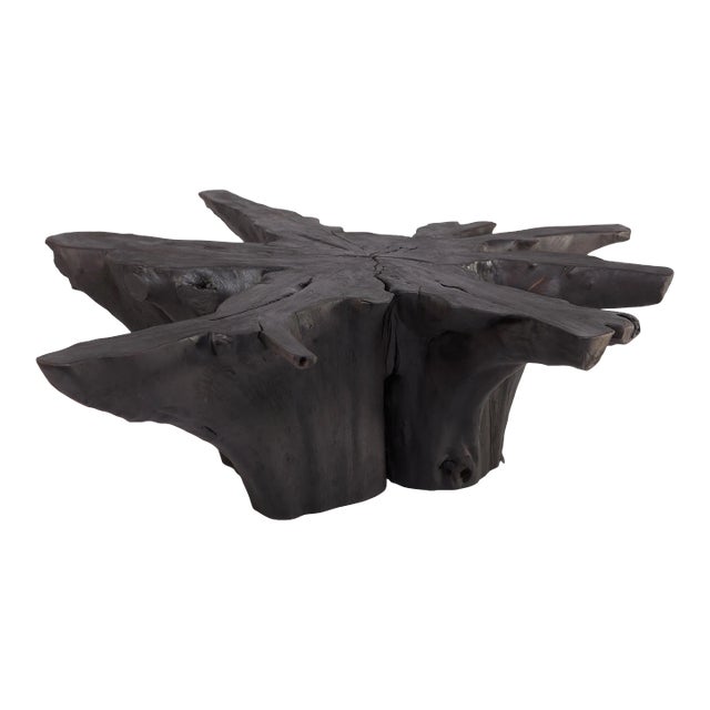 Black Burnt Organic Teak Root Coffee Table 81 For Sale