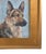 Impressionist German Shepard dog portrait oil painting on stretched artist's canvas. It is signed by the artist M....
