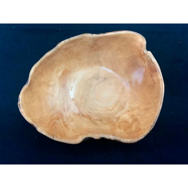 Brown Handcrafted Spruce Burl Wood Bowl With Live Edge For Sale - Image 8 of 12