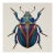 16' X 16' Contemporary Hollywood Glam Luxury Blue Beetle Original Printed /Jewelry For Sale