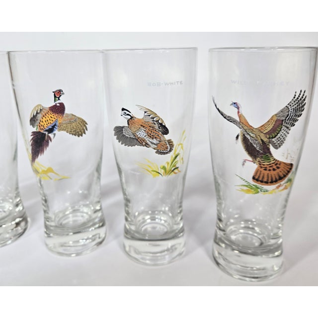 Rare Game Bird Pilsners Collection- Set of Eight For Sale - Image 17 of 18