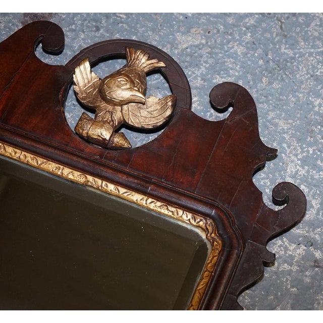 Antique Chippendale Giltwood Wall Mirror with Phoenix, 1760s For Sale - Image 6 of 15