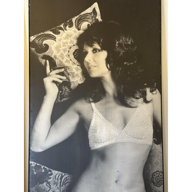 Vintage Framed Photo Posters, 1970s, Set of 4 For Sale - Image 13 of 18