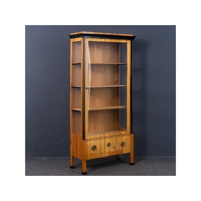 1st half of the 19th Century Showcase Cabinet For Sale - Image 17 of 17