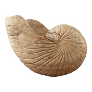 1990s Large Natural Wood Hand Carved Sea Shell Bowl/Sculpture For Sale