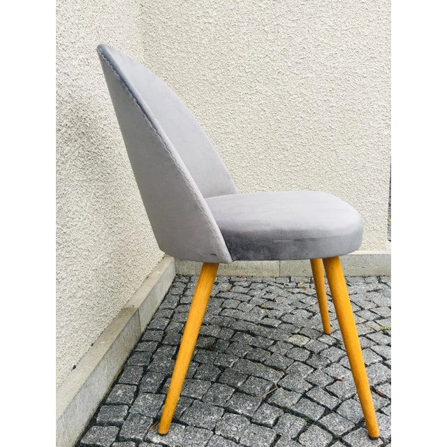 Mid-Century Dining Chairs by Antonín Šuman for Tatra, Set of 4 For Sale - Image 9 of 18