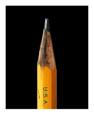 Nigel Parkinson's Pencil by Secret Life of Pencil Print, 24" x 32"