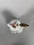 18th Century Covered Sèvres Porcelain Water Jug ​​and Basin For Sale - Image 10 of 12