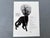 1960s 1961 Authentic Vintage Rolex Watch Advertisement Black Cat Print From French Vogue For Sale - Image 5 of 5