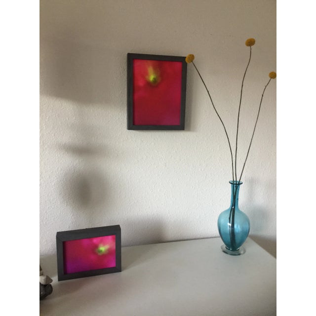 Wood Power Flower (Study II) Abstract Botanical Photograph by Natalie Mitchell For Sale - Image 7 of 8