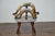 English Mahogany and Horn Victorian Chair with Velvet Upholstery circa 1880 For Sale - Image 9 of 12