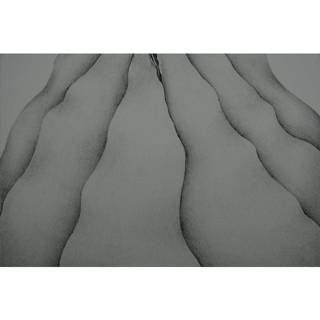 Contemporary Gochka Charewicz, Tour Végétale, Lithograph For Sale - Image 3 of 8
