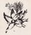 Marc Chagall, Adam et Ève et le Fruit Défendu (Adam and Eve and the Forbidden Fruit), Nude, 1960, Original Lithograph For Sale - Image 8 of 9