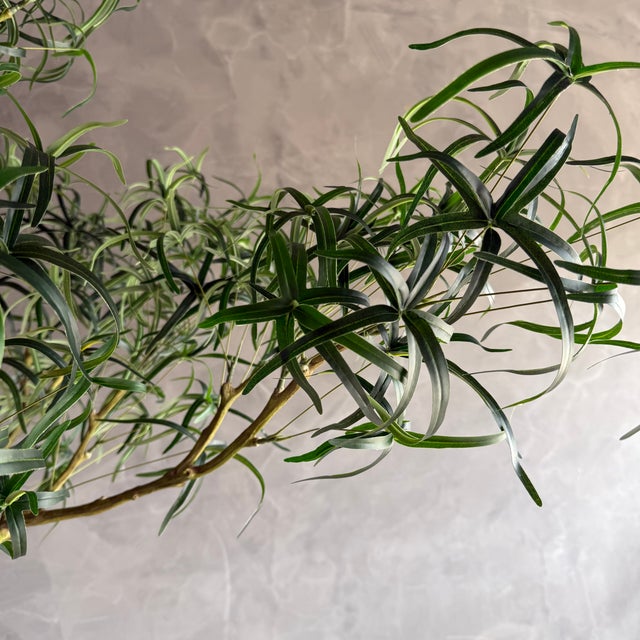 Realistic Bottle Tree 8′ For Sale - Image 4 of 9