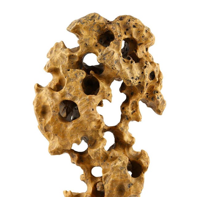 Chinese Yellow Scholar Taihu Stone on Wood Stand For Sale - Image 9 of 13