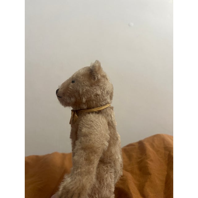 Small Steiff Bear Antique For Sale - Image 10 of 11