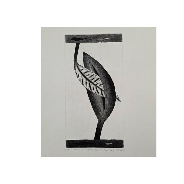 Jerzy Dmitruk is a Polish artist born in 1960. He studied at the Academy of Fine art of Krakow, were he obtained a degree...